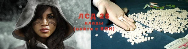 индика Каменск-Шахтинский