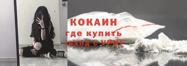 соль ск Инсар