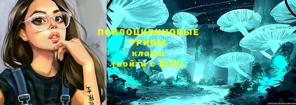 mix Каменка