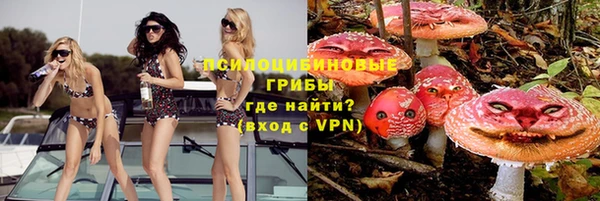 mix Каменка