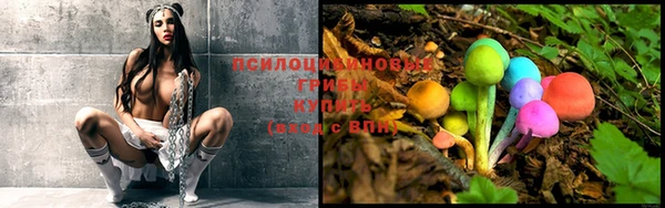 mix Каменка