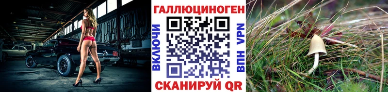 Купить где  Светлоград  Галлюциногенные грибы прущие грибы 